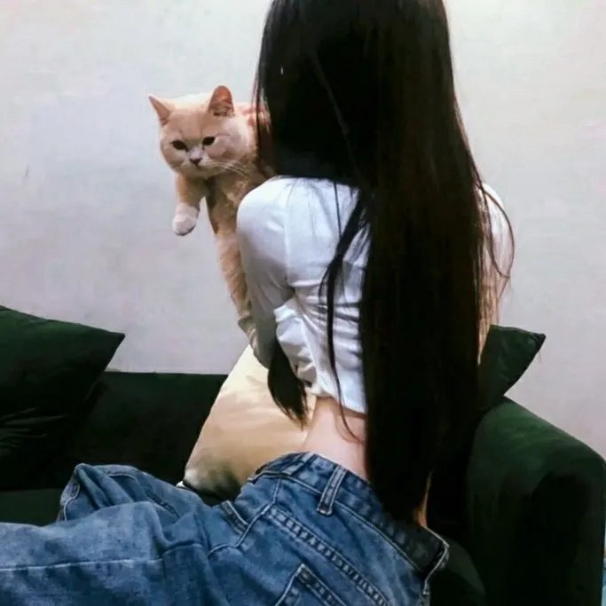 舞会