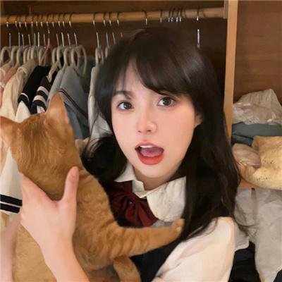 梦墙